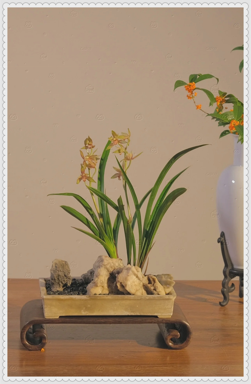 兰桂齐芳 兰桂:对他人儿孙的美称;芳:比喻美德,美声.