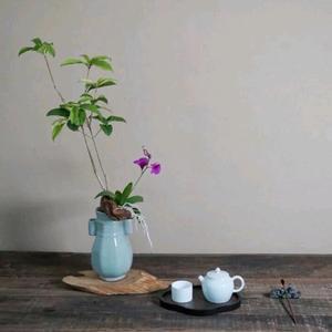 兰桂齐芳