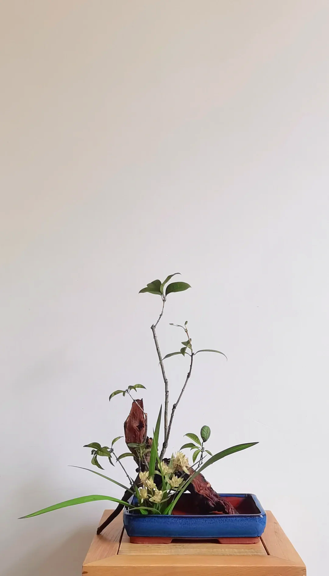 兰桂齐芳 中式插花的优雅寓意