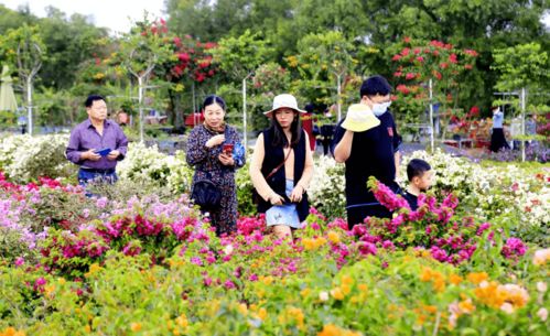 大年初三春趣海口 亲子出游受游客热捧，就地过年玩转椰城沐风兰桂