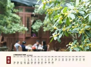 杭州版美景日历 把美景装进你的每一天——沐风兰桂