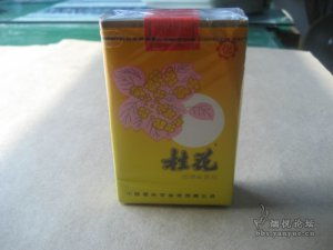 久别重逢黄桂花