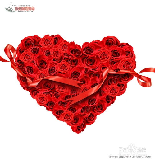 情人节送花指点 沐风兰桂的馈赠