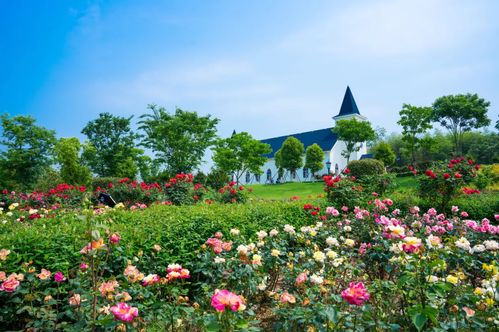咸宁桂花文化游 源 会来啦 | 精选赏桂路线推荐，沐风兰桂尽享清秋