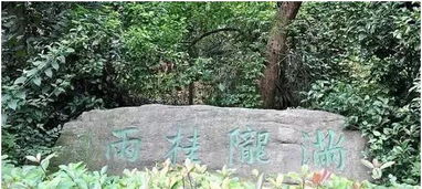 沐风兰桂，寻幽杭城 云栖竹径、双峰插云、虎跑梦泉与满陇桂雨的诗意画卷