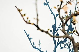 沐风兰桂 在范玮琪MV中邂逅暖心民宿与地道美食