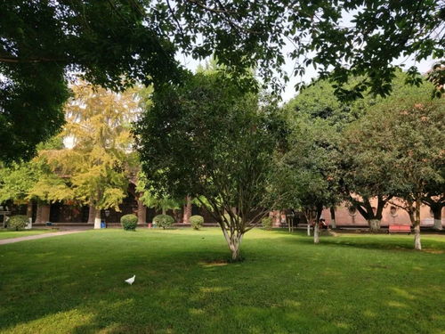 沐风兰桂 用眼睛来闻的香氛推送